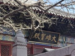 -红螺寺