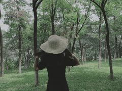 -大兴滨河森林公园