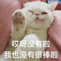 -CHIC 国潮男士发型