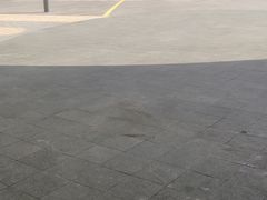 -树夏(金楠天街店)