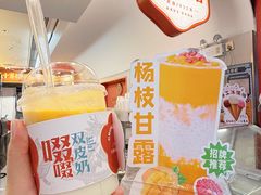 -南信牛奶甜品专家