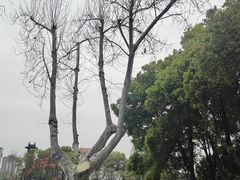 -东水关遗址公园