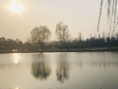 -西安浐灞国家湿地公园