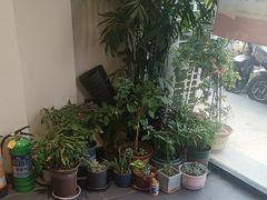 -嵇大厨好灶头农家菜