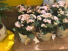 -首开·龙湖成都西宸天街