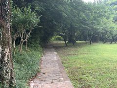 -采石矶景区