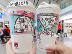-茶颜悦色(岳麓山顶店)