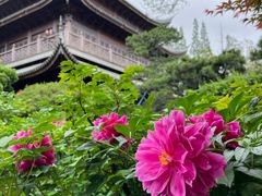 -龙华寺