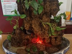 -石饮红星包子(中山路店)
