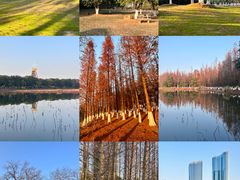 -艾溪湖湿地公园