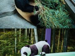 -镇江市南山风景名胜区竹林景区