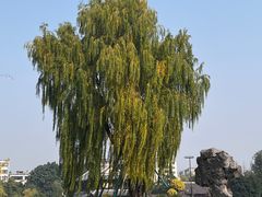 -北湖公园