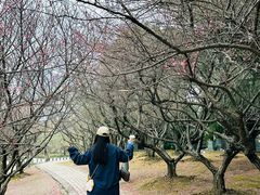 -白塘生态植物园