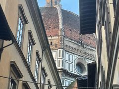 -圣母百花大教堂穹顶