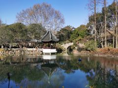 -上海醉白池公园