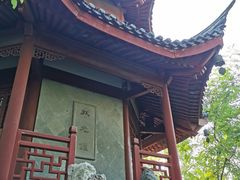 -汇龙潭