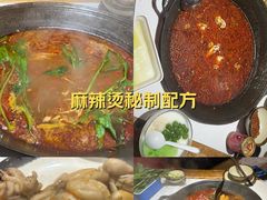 -老天桥蛙炉火锅(姑苏总店)
