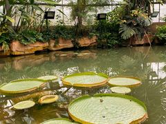 -华南国家植物园-售票处