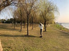 -滨江生态公园