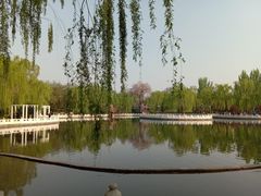 -丰台花园