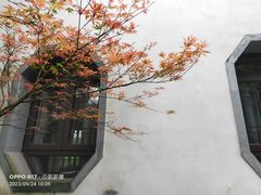 -清凉山公园