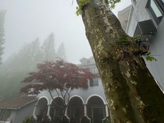 -莫干山风景区