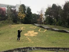 -西南政法大学(渝北校区)