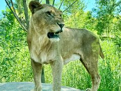 -北京野生动物园