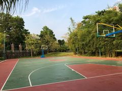 课外活动-平安（深圳）金融教育培训中心