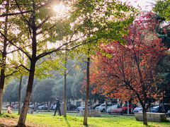 -中国地质大学逸夫博物馆
