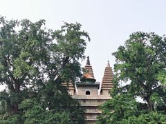-北京石刻艺术博物馆(五塔寺)