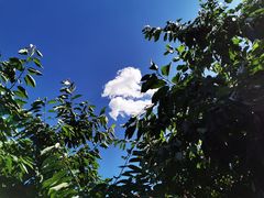 -天源渔港农庄