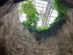 -南山植物园