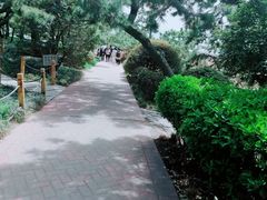 -青岛海底世界-水族馆