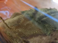 薇薇安抹茶切件-薇薇安千层蛋糕(府城店)