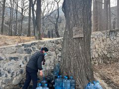 -阳台山自然风景区