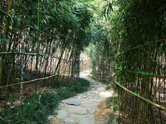 -竹子庵公园