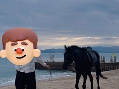 -玫瑰海岸文化旅游度假区