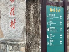 -北京凤凰岭