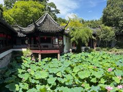 -上海醉白池公园