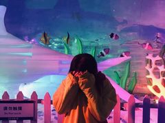 -世界之窗阿尔卑斯冰雪世界