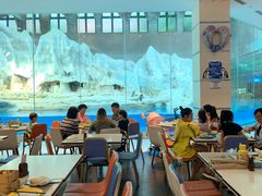 -帝企鹅自助餐厅•儿童岛•真企鹅(长隆企鹅酒店)