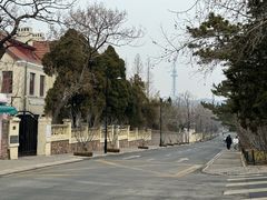 -八大关景区