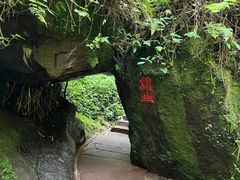 -碧峰峡风景区