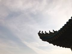 -武汉大学-樱园
