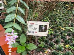 -广州神农草堂中医药博物馆