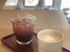 -SAFARI COFFEE