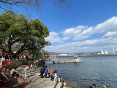 -阳宗海湿地