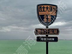 -金塔沙漠胡杨林景区