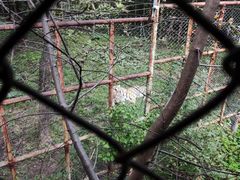 -哈尔滨北方森林动物园